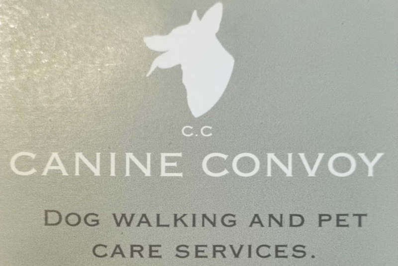 Dog Walking & Pet Care Services